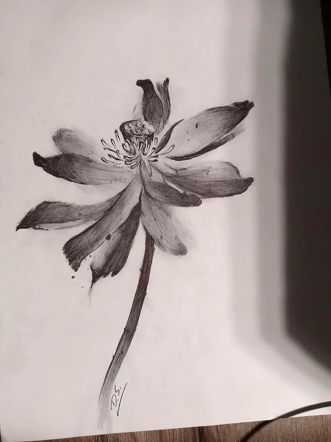 Artwork tattoo on Original drawing